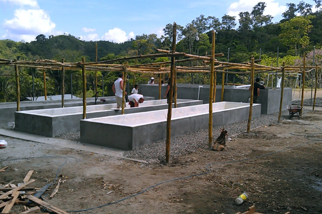 NEW VIDEO | GloDev and Sustainable Development