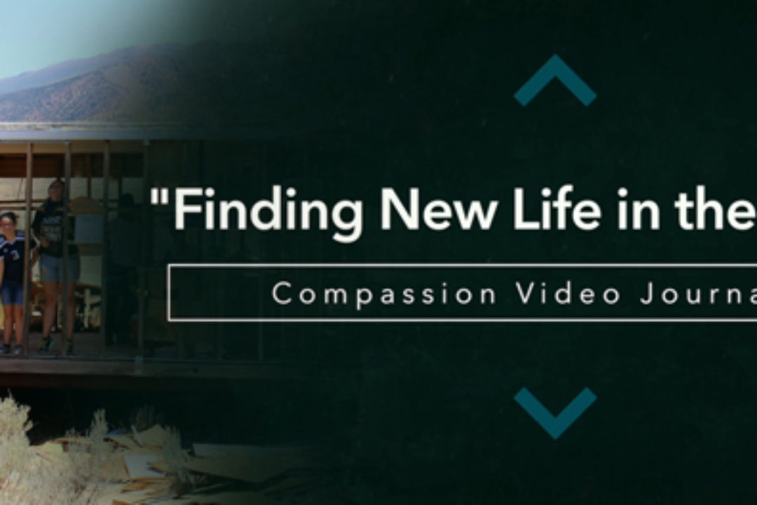 NEW VIDEO | Compassion Video Journal #5