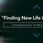 NEW VIDEO | Compassion Video Journal #5